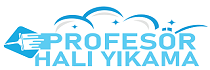 Profesör Halı & Koltuk Yıkama